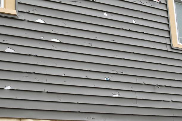 Siding Removal and Disposal